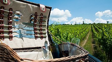 Сафари по виноградникам Тосканы ❒ Italy Tickets