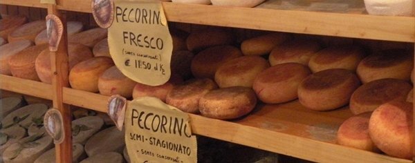 Visita la Toscana :: El queso pecorino de Pienza